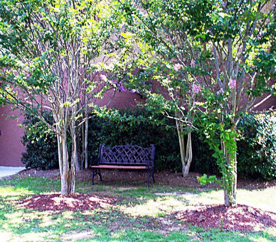 Hampton Inn Cartersville Bagian luar foto